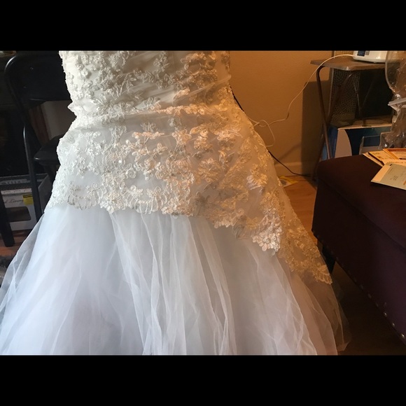 Wedding Dress and Veil - Picture 8 of 8